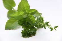 Recette facile du sorbet au thym